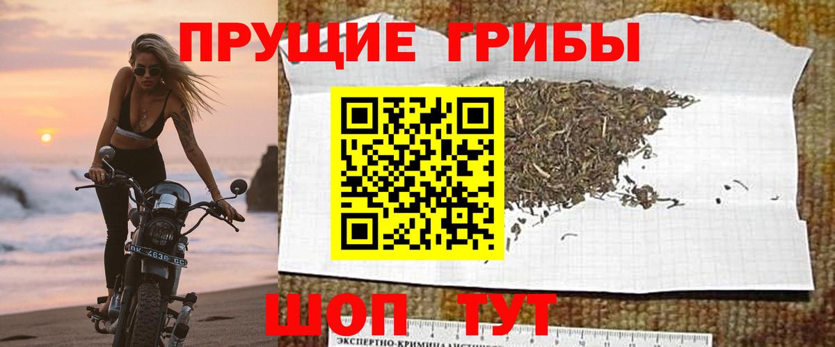 Галлюциногенные грибы Magic Shrooms  Вход с VPN  Волжский 